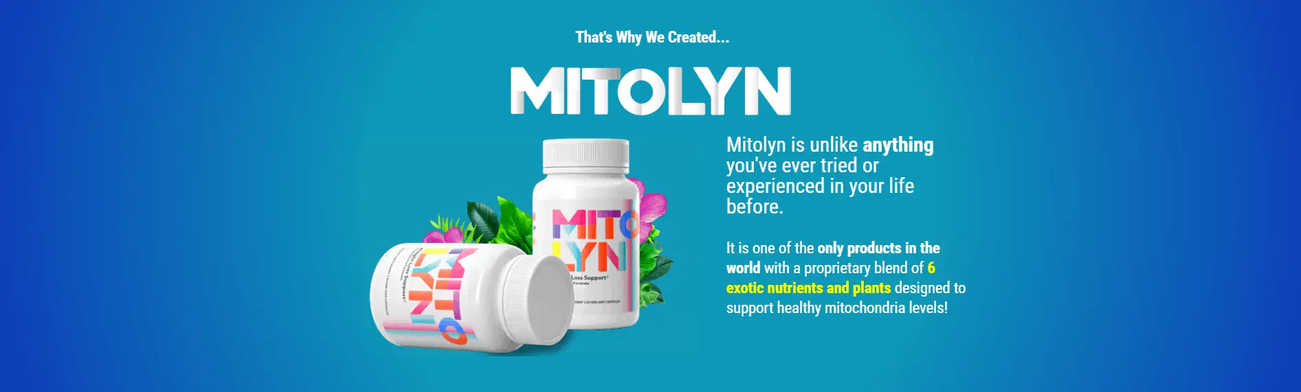 Buy Mitolyn